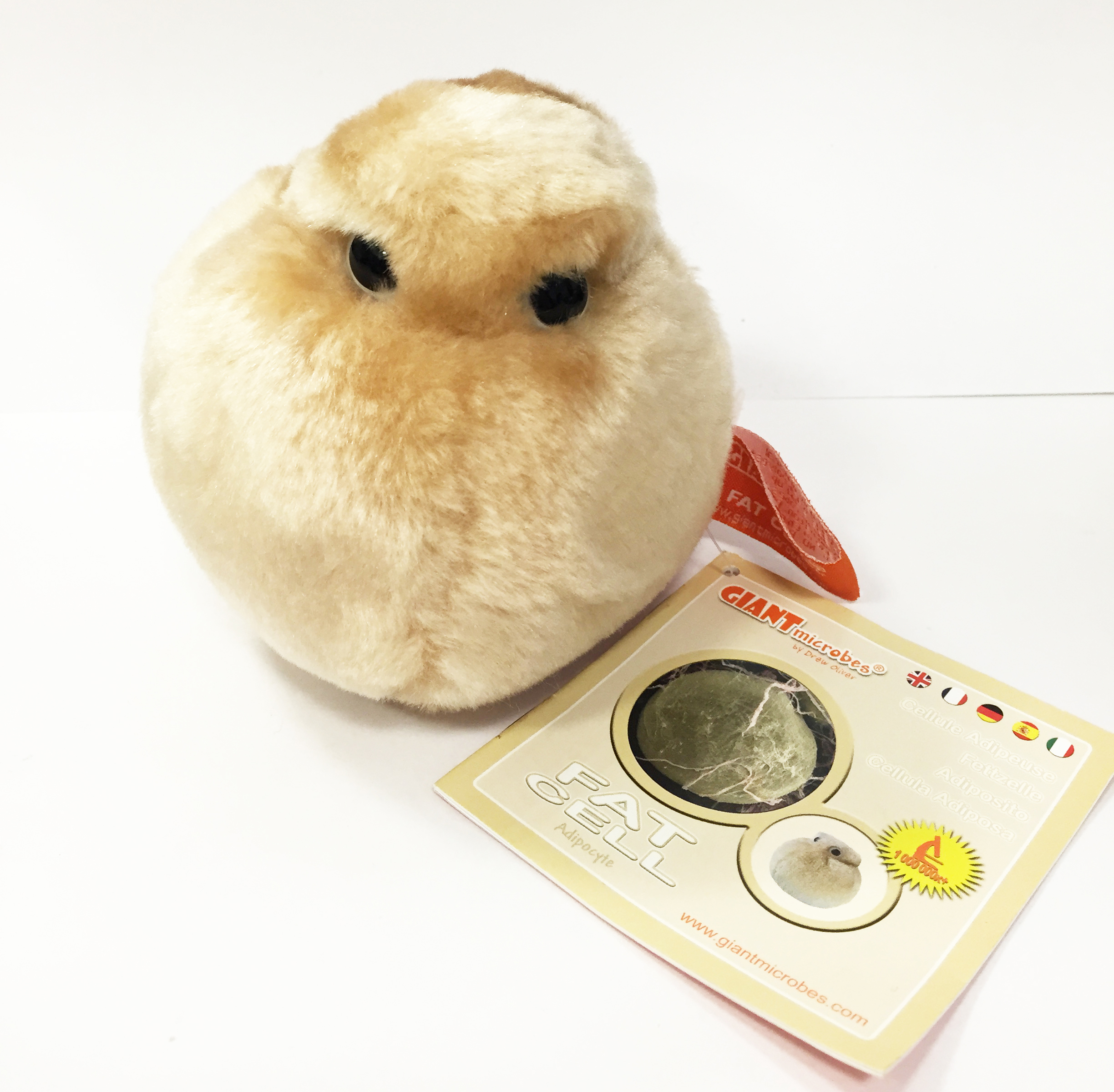 giant microbes fat cell