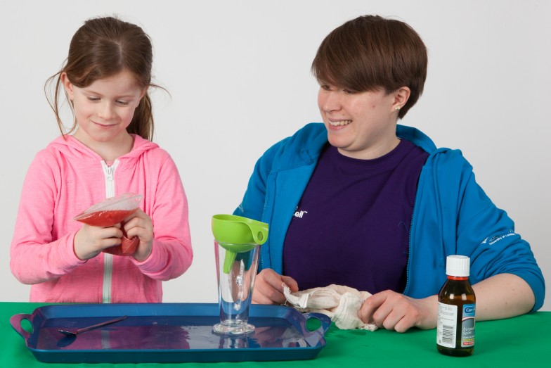 Extracting DNA from strawberries