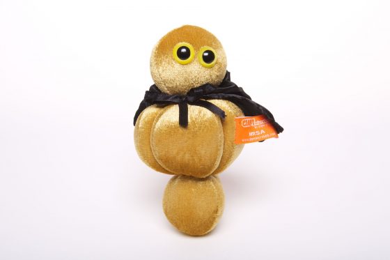 picture of MRSA toy