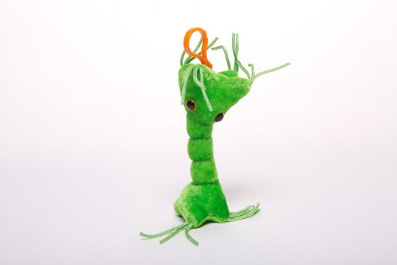 picture of a nerve cell key chain
