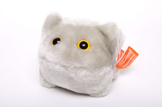 picture of norovirus toy