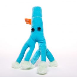 picture of Penicillium toy