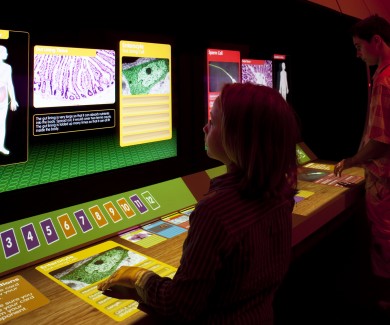 Picture of children playing cell trumps in the Centre of the Cell
