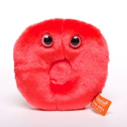 picture of red blood cell toy