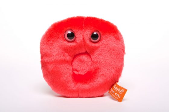 picture of red blood cell toy