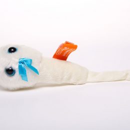 picture of sperm cell toy