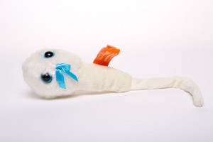 picture of sperm cell toy