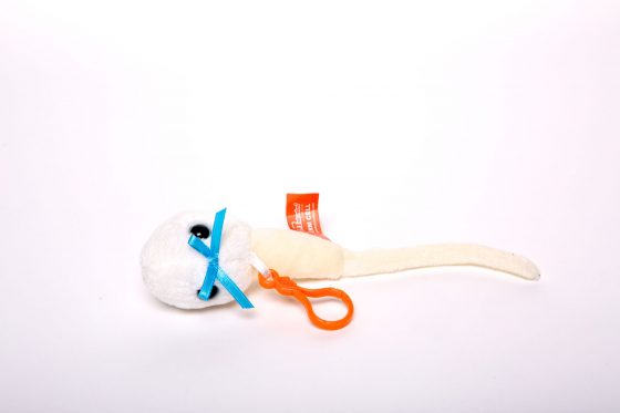 picture of sperm cell key chain