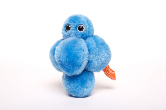 picture of Staphylococcus aureus toy