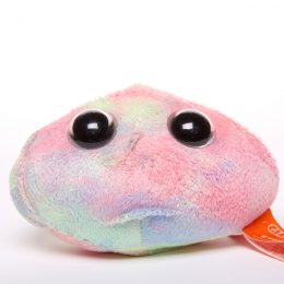picture of stem cell toy
