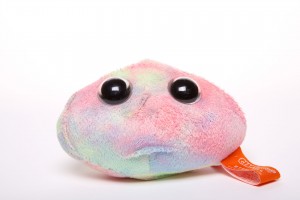 picture of stem cell toy