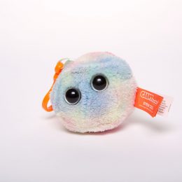 picture of stem cell key chain