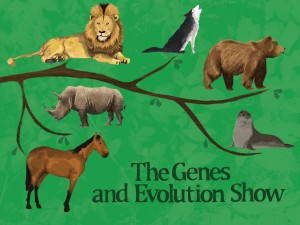 The Genes and Evolution Show