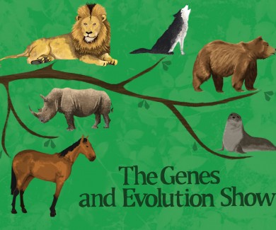 The Genes and Evolution Show