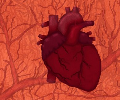 In a Heartbeat title