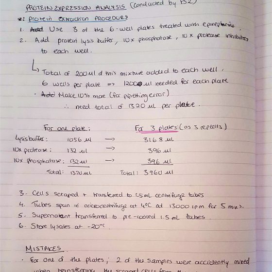My Laboratory Experience Centre of the Cell