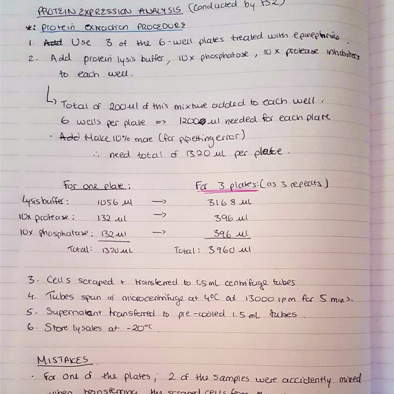 My Laboratory Experience Centre of the Cell